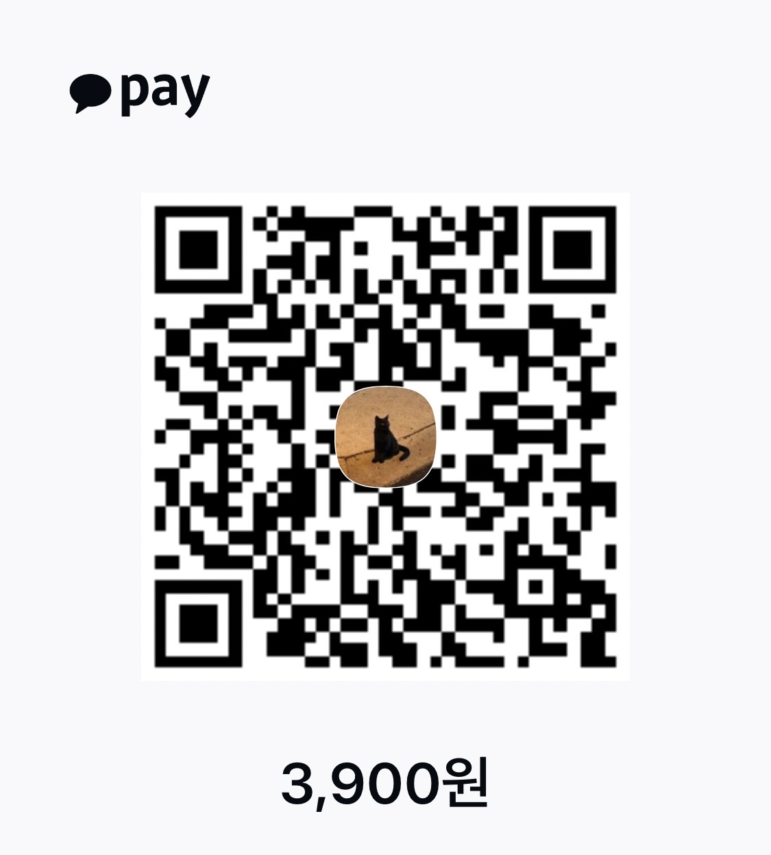 카카오페이 QR